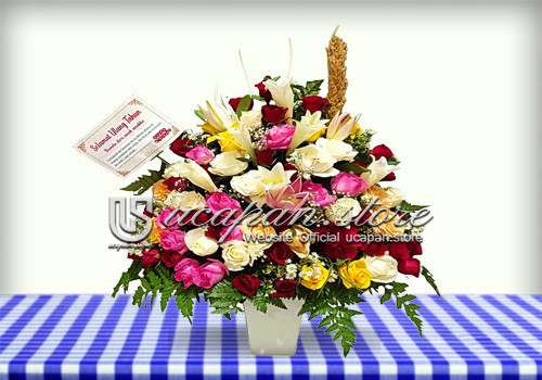 IMG-PRODUCT